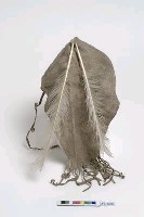 羽飾皮帽藏品圖，第10張